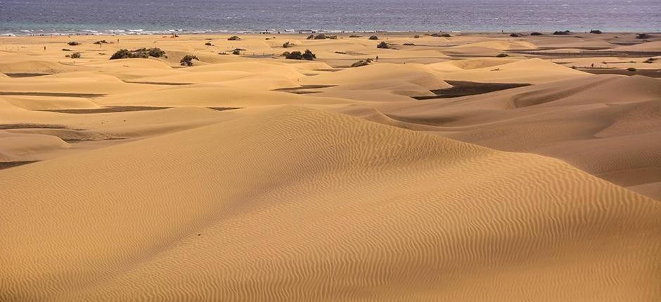 Relax Bungalow With Parking Villa Maspalomas  Exterior photo